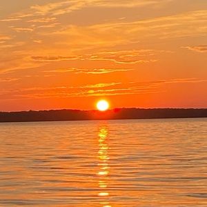 Meet your Posher, Donald